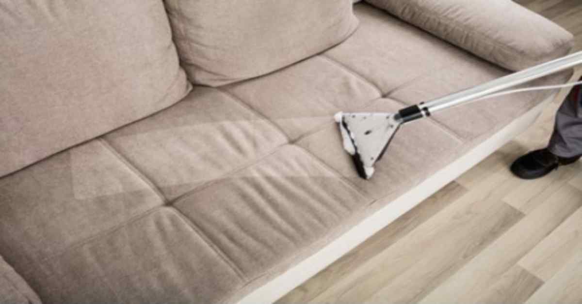 Couch cleaning in a Hollywood home
