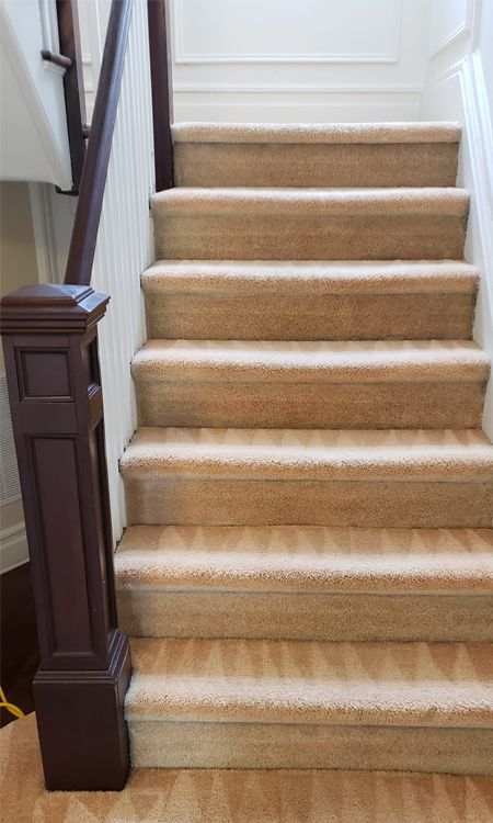 Carpet cleaning results in Hollywood, FL